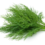 Dill