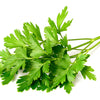 Italian Parsley