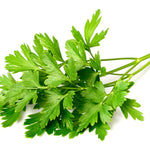 Italian Parsley