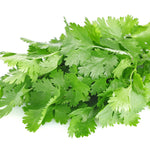 Coriander (Cilantro)