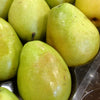 Pear Anjou Anjou Pear