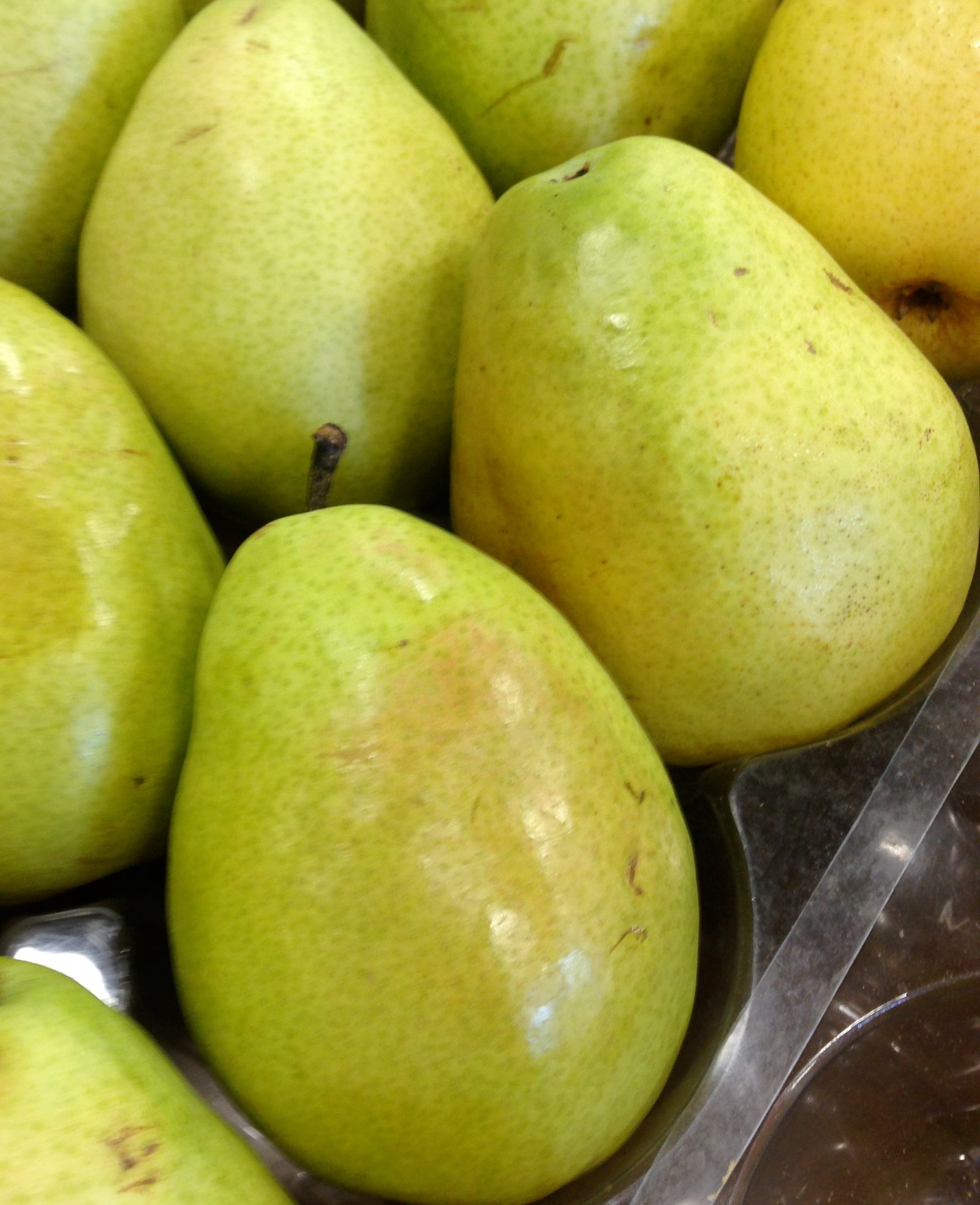 Pear Anjou Anjou Pear