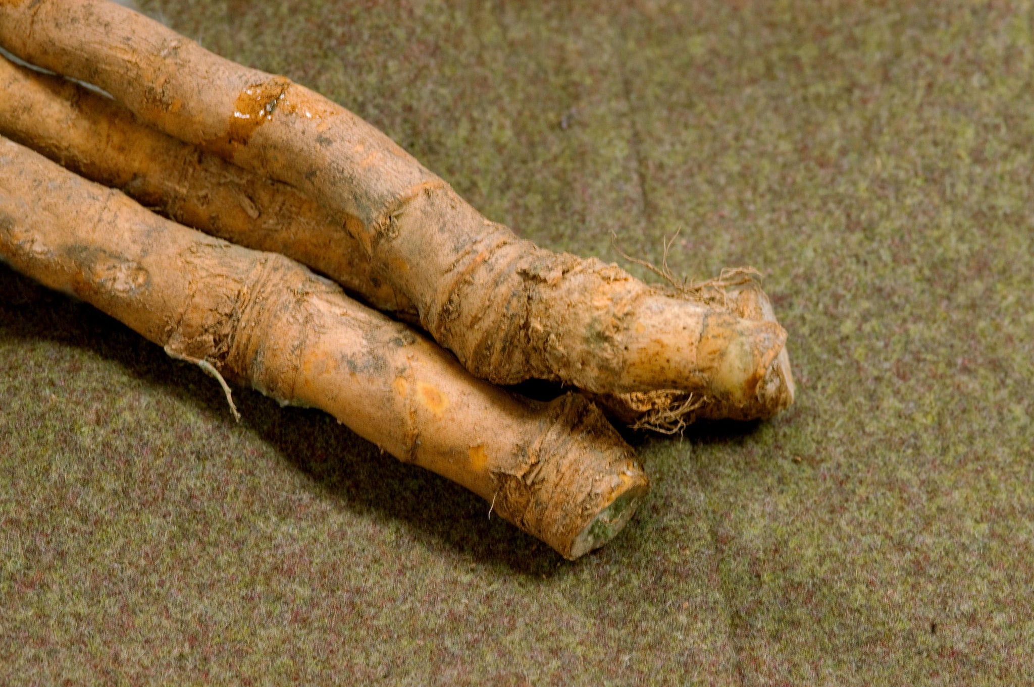 Horseradish Horseradish