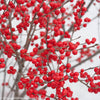 Ilex verticillata Berry Poppins FarrowBPop PP25835, CPBR5286 Berry Poppins Winterberry