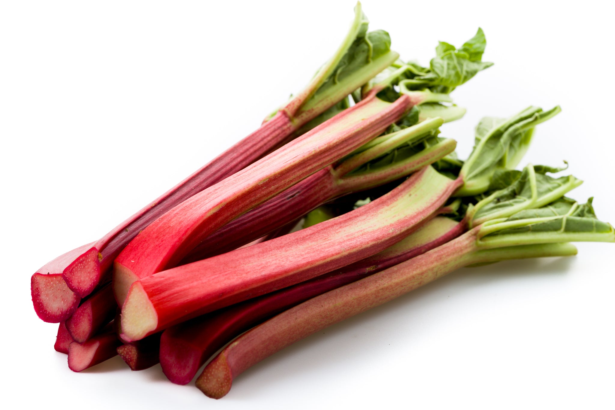 Rhubarb Victoria Victoria Rhubarb