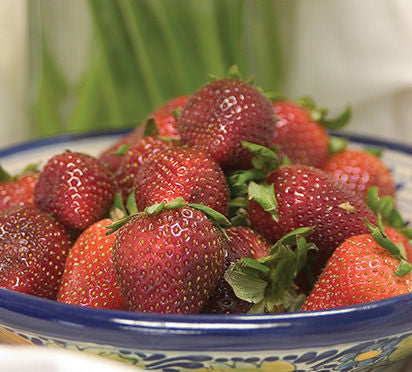 Strawberry Fort Laramie Fort Laramie Everbearing Strawberry