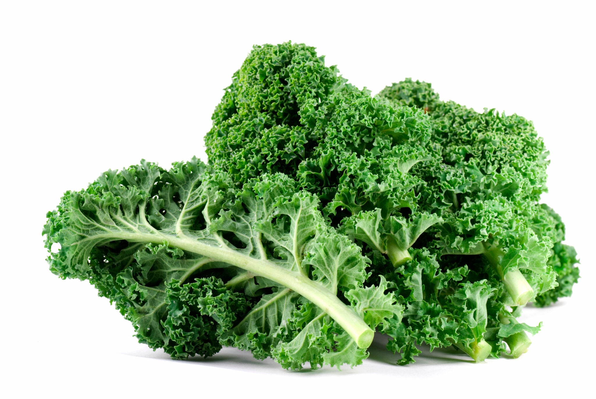 Kale (Green)