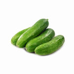 Cucumber (Mini)