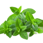 Peppermint