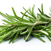 Rosemary