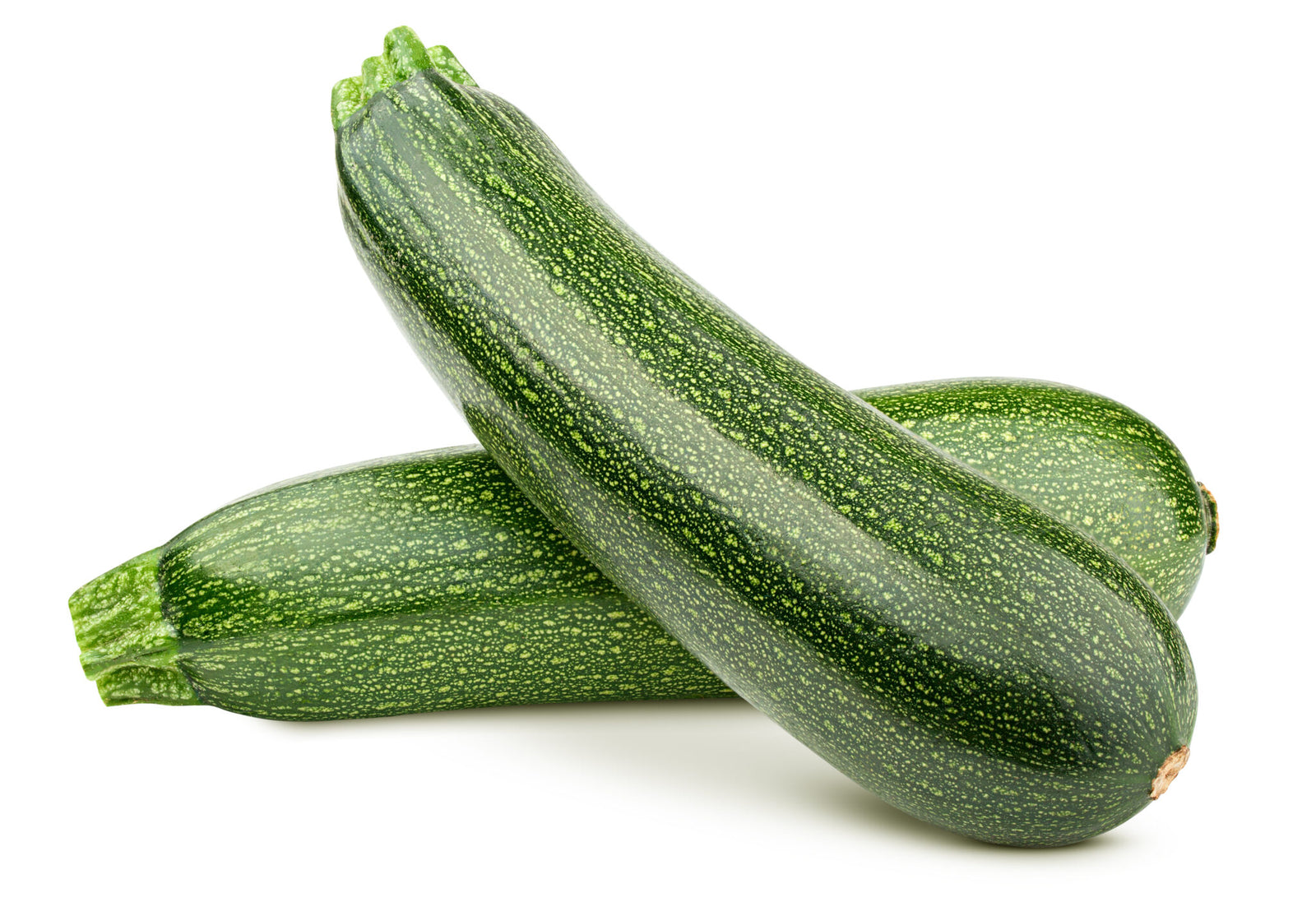 Zucchini