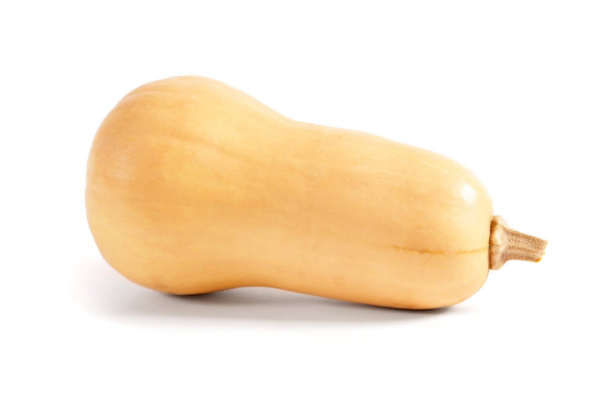 Butternut Squash