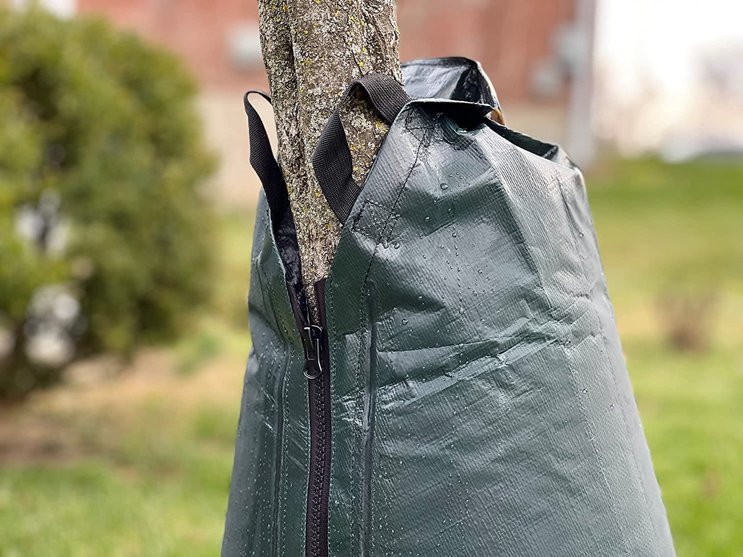 Sapling Saver Tree Watering Bag